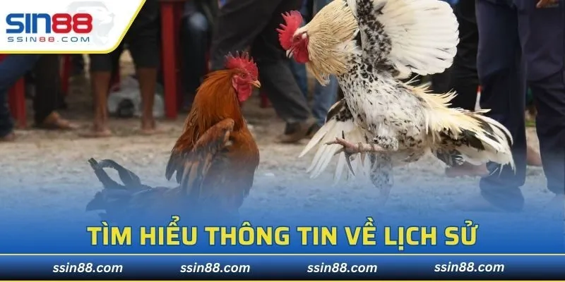 Giới thiệu về đá gà Campuchia