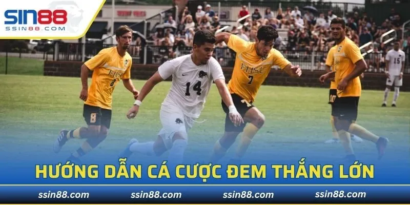 Hướng dẫn cá cược đem thắng lớn