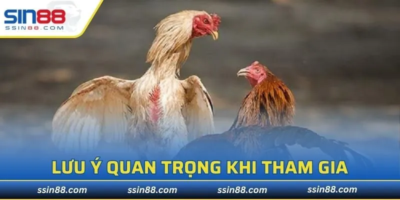 Một số điểm lưu ý khi tham gia trận