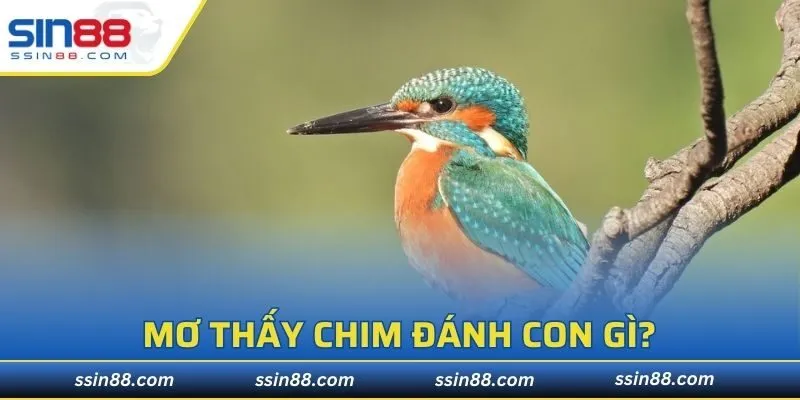 Thông tin sổ mơ khi nhìn thấy chim trong giấc mộng